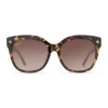 Patricia Nash Audrey Sunglasses| Square