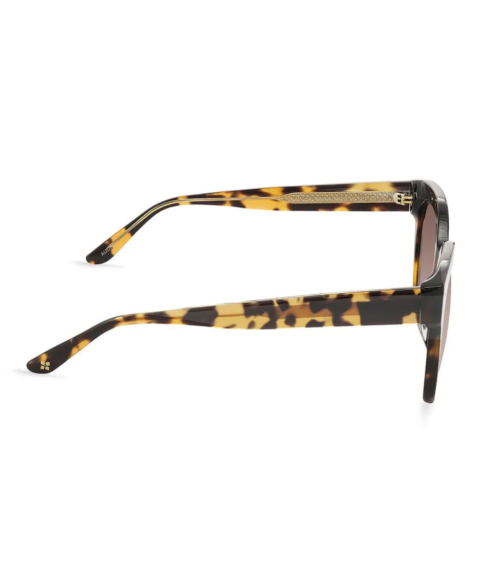 Patricia Nash Audrey Sunglasses| Square