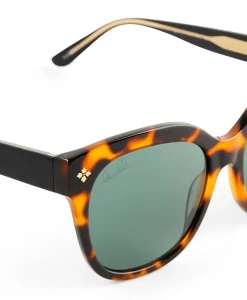Patricia Nash Audrey Sunglasses| Square