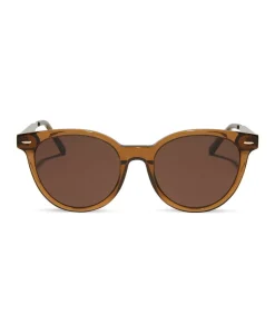 Patricia Nash Blondie Sunglasses| Round