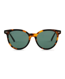 Patricia Nash Blondie Sunglasses| Round