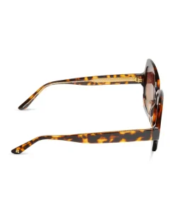 Patricia Nash Farrah Sunglasses| Square