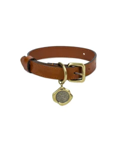 Patricia Nash Pet Collar| Pet Accessories