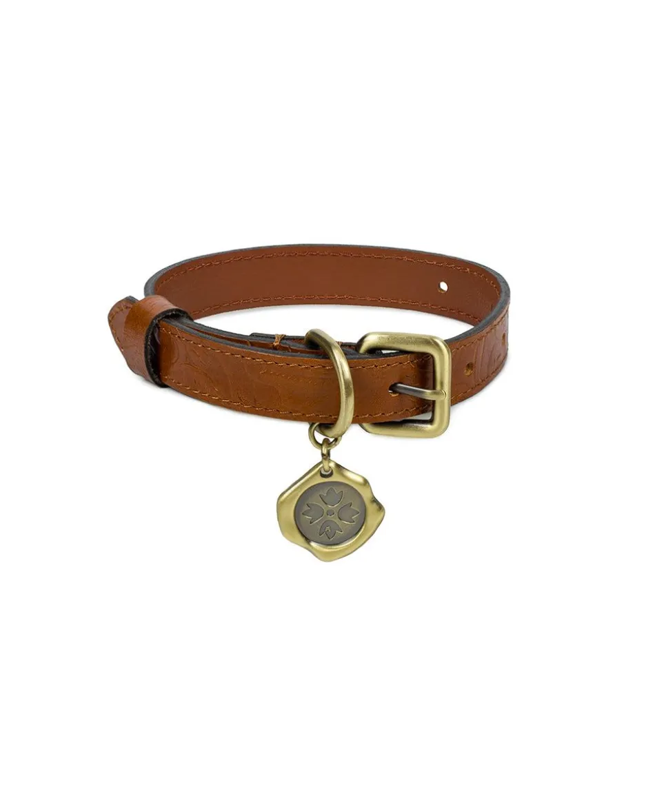 Patricia Nash Pet Collar| Pet Accessories