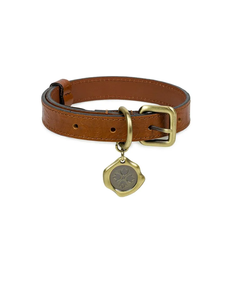 Patricia Nash Pet Collar| Pet Accessories