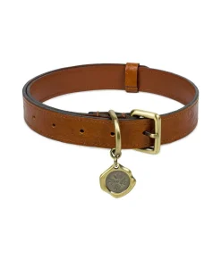 Patricia Nash Pet Collar| Pet Accessories