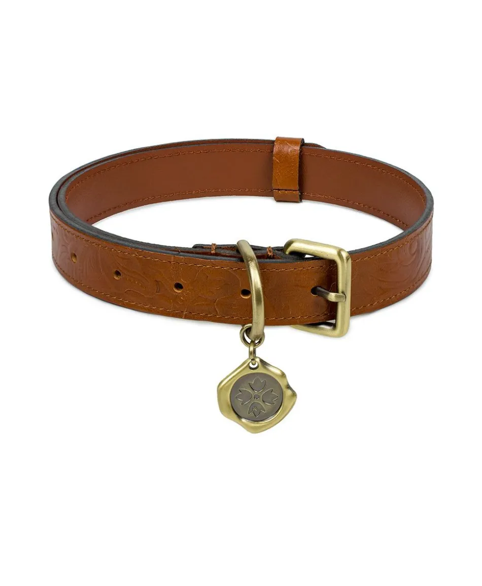 Patricia Nash Pet Collar| Pet Accessories