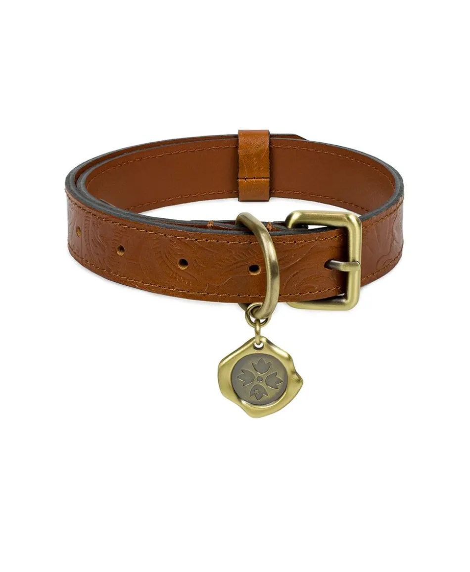 Patricia Nash Pet Collar| Pet Accessories