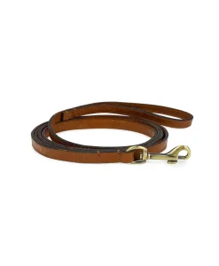 Patricia Nash Pet Leash 1/2" Width| Pet Accessories
