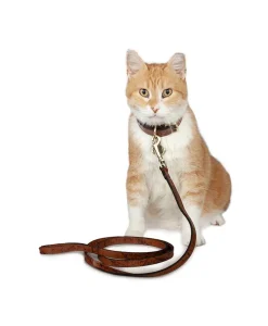 Patricia Nash Pet Leash 1/2" Width| Pet Accessories