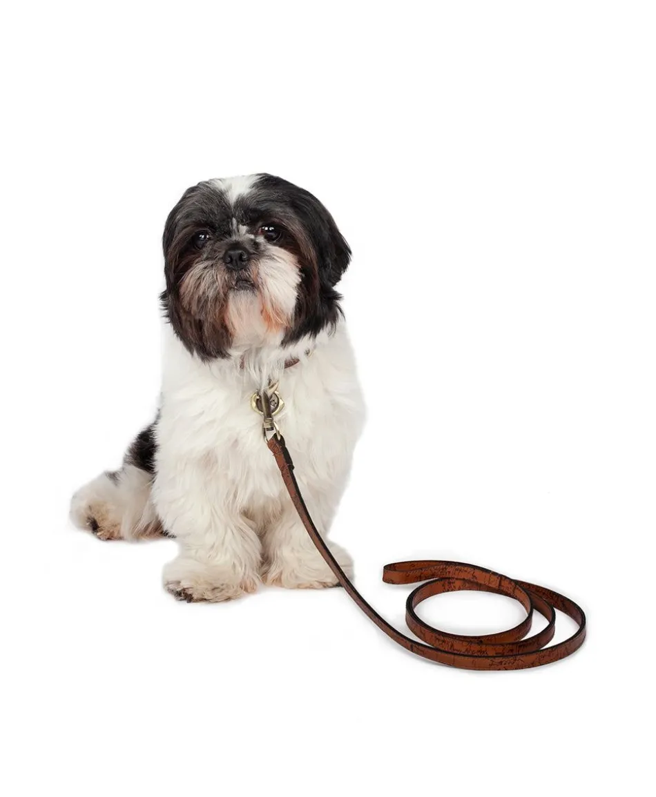 Patricia Nash Pet Leash 1/2" Width| Pet Accessories