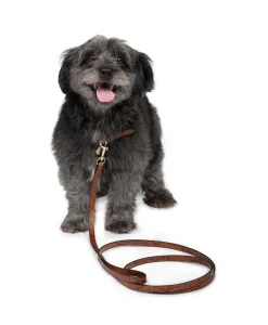 Patricia Nash Pet Leash 1/2