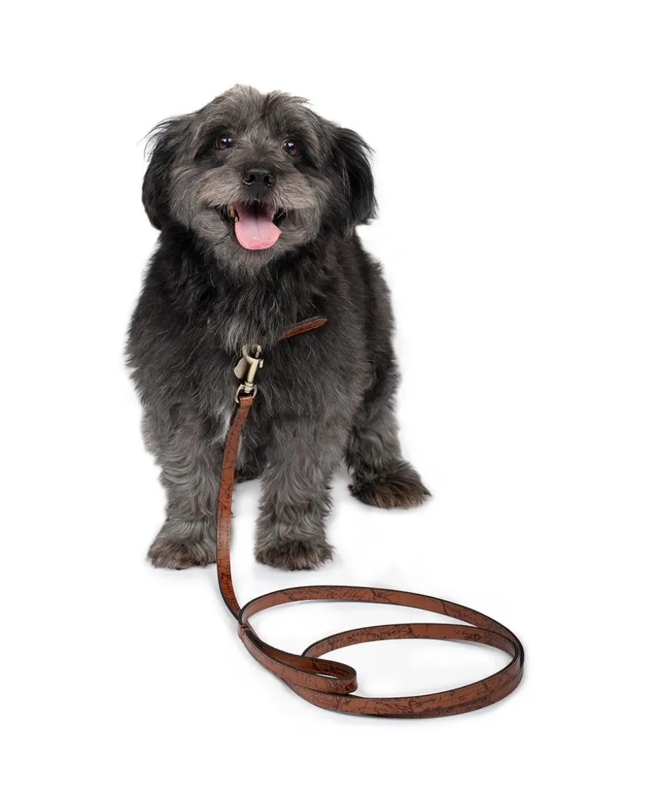 Patricia Nash Pet Leash 1/2" Width| Pet Accessories